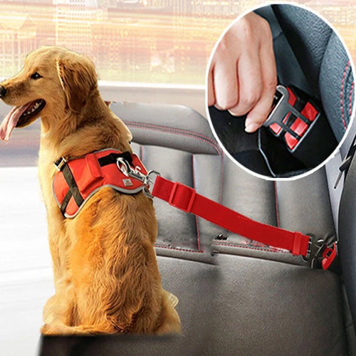 Adjustable pet car restraint strap