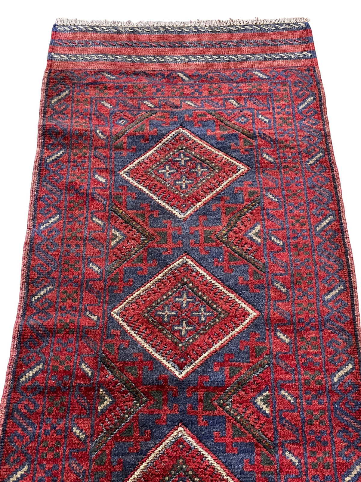 Mushwani runner H. 79 photo 1