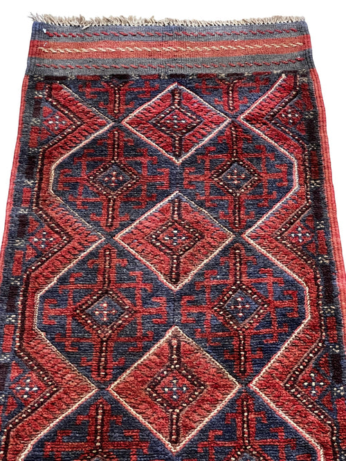 Mushwani runner H. 1108 photo 1