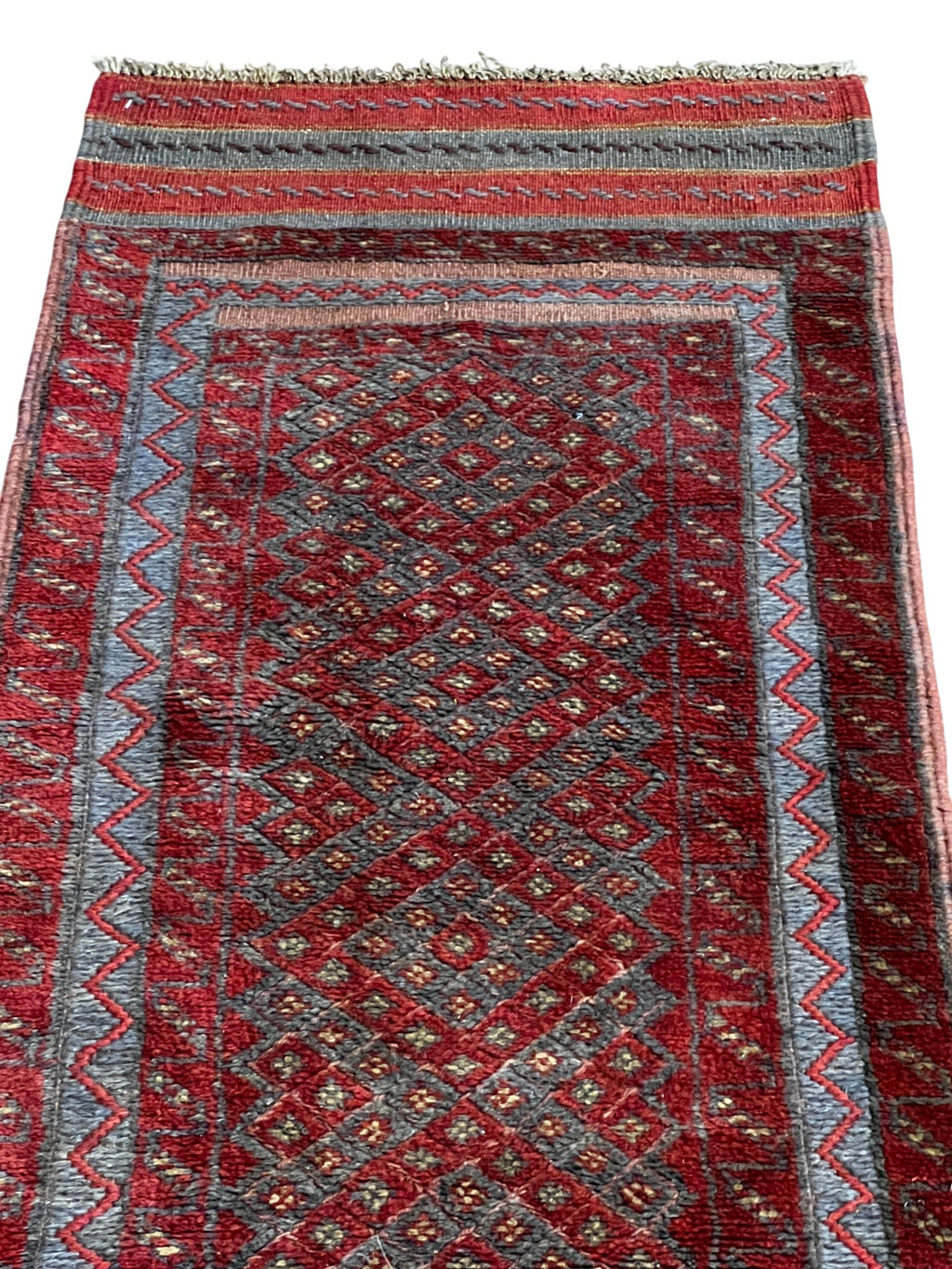 Mushwani runner H. 8521 photo 1